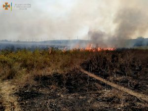 За сутки в Николаеве и области выгорело более 53 га открытых территорий (ФОТО) 4