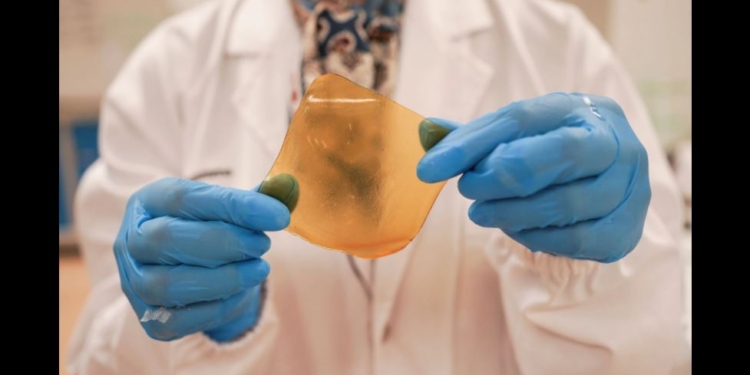 Ученые научились делать антибактериальные медицинские повязки из пищевых отходов (ФОТО)