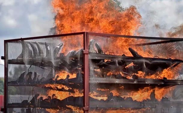 В Индии сожгли 2,5 тысячи рогов носорогов (ВИДЕО)