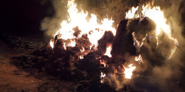 Жилые дома и хозпостройки: что тушили спасатели Николаевщины за сутки (ФОТО)