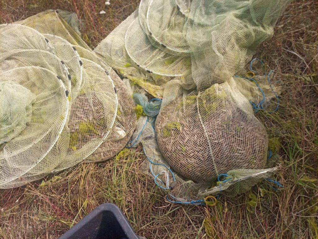 У Кинбурна задержали браконьера, незаконно добывшего 22 кг креветки (ФОТО) 5