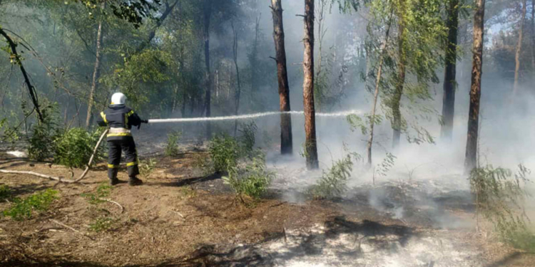 Подожгли: на Николаевщине опять горел лес (ФОТО)