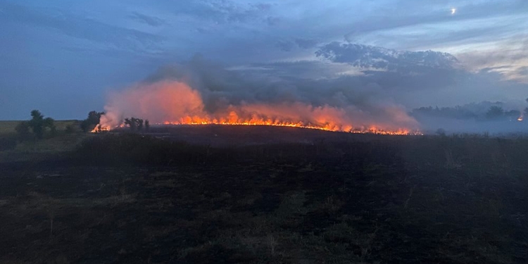 Опять поджоги. За сутки на Николаевщине горело свыше 2 га лесов и 32,5 га открытых территорий (ФОТО)