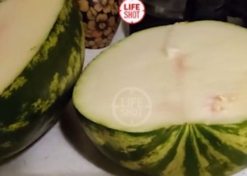 Зелено снаружи, зелено внутри. В Москве продают арбузы без мякоти (ВИДЕО)
