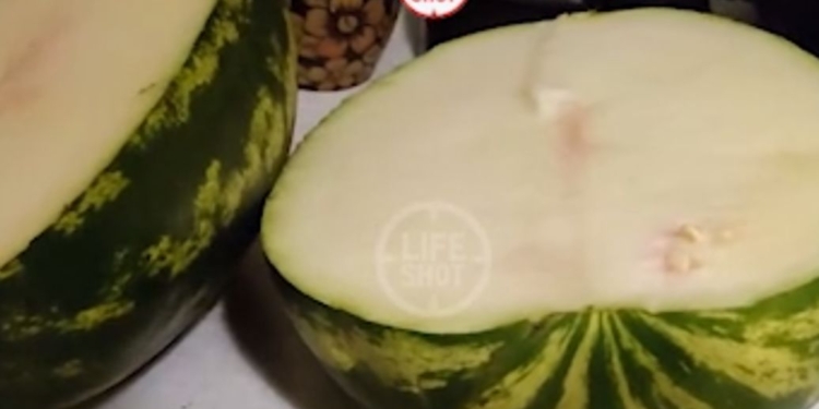 Зелено снаружи, зелено внутри. В Москве продают арбузы без мякоти (ВИДЕО)