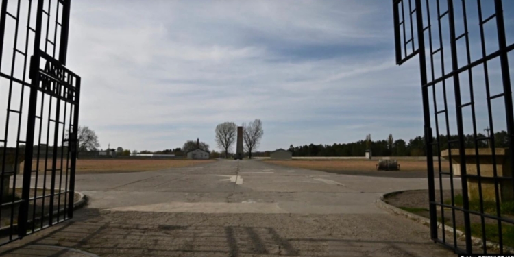 В суд не явилась. В Германии сбежала 96-летняя обвиняемая в пособничестве нацистам