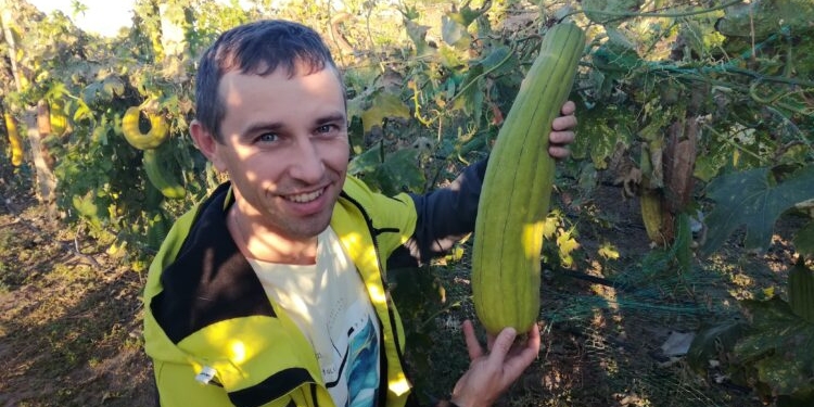 Чище вдвойне. Эко-губки из тыкв делает фермер на Херсонщине (ФОТО)