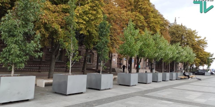 Депутаты решили посчитать деревья в кадках на Соборной площади и выяснить, во сколько они обошлись бюджету Николаева