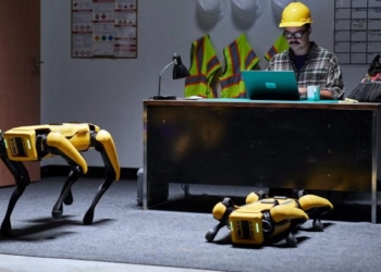 Первые робопсы начали работать: охранником на автозаводе и оценщиком в страховой фирме