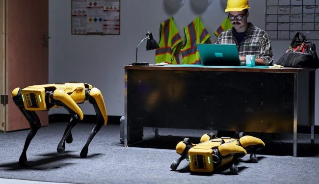 Первые робопсы начали работать: охранником на автозаводе и оценщиком в страховой фирме