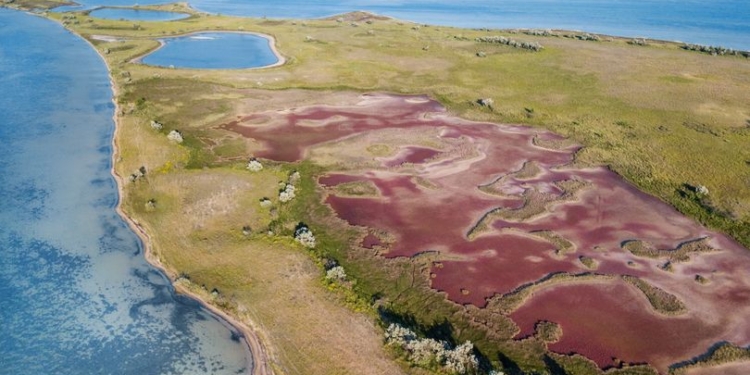 Новый Генплан сел на Кинбурнской косе принесет 22 млрд.грн. убытков – UNCG