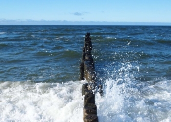 Полиция Нидерландов задержала 2 украинцев за контрабанду албанцев в Британию