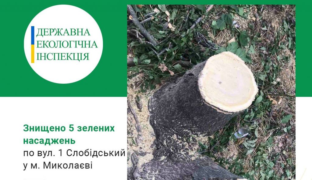 В Николаеве на 1-й Слободской уничтожили 3 дерева и два куста - ГЭИ советует сразу вызывать полицию 1