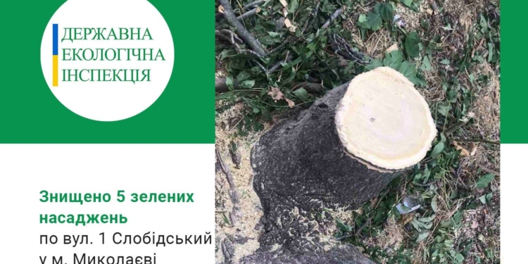 В Николаеве на 1-й Слободской уничтожили 3 дерева и два куста – ГЭИ советует сразу вызывать полицию