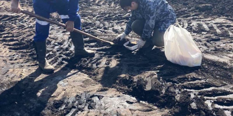 На Сумщине произошла разгерметизация нефтепровода – залило кукурузное поле