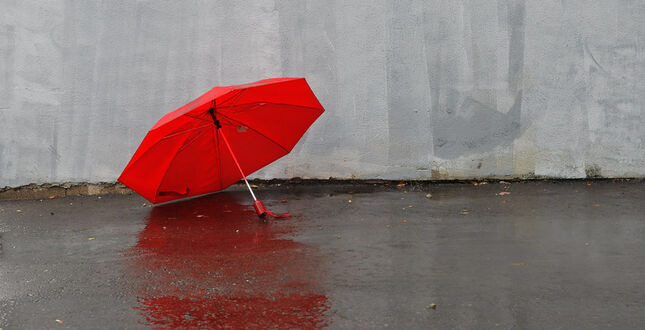 В Венеции протестовали секс-работники (ВИДЕО)