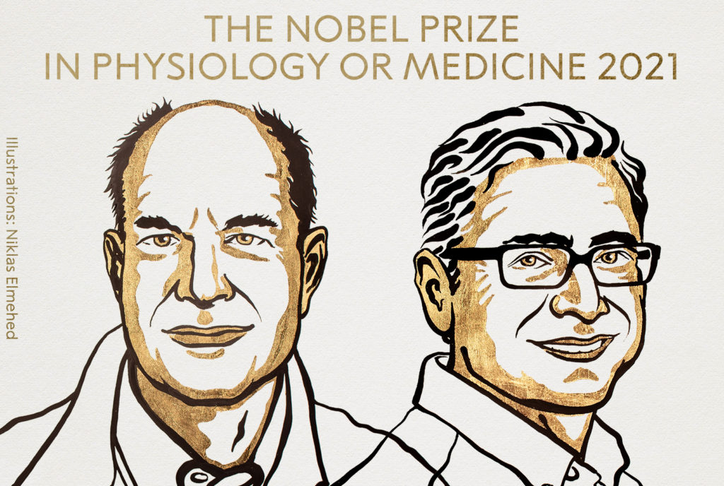 Стали известны имена лауреатов Нобелевской премии-2021 по медицине 1