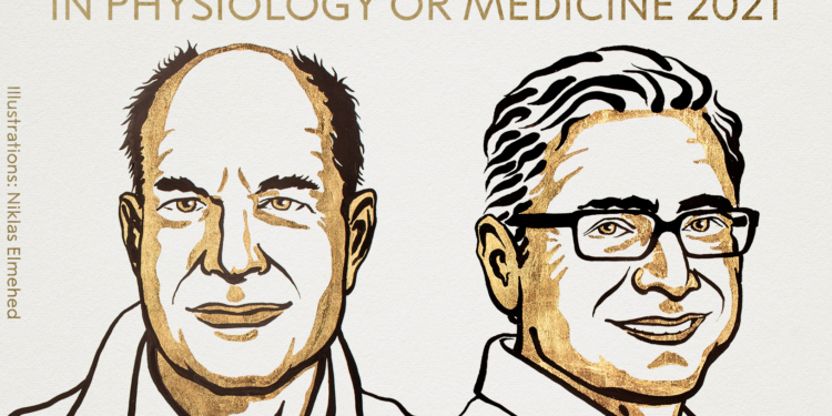 Стали известны имена лауреатов Нобелевской премии-2021 по медицине