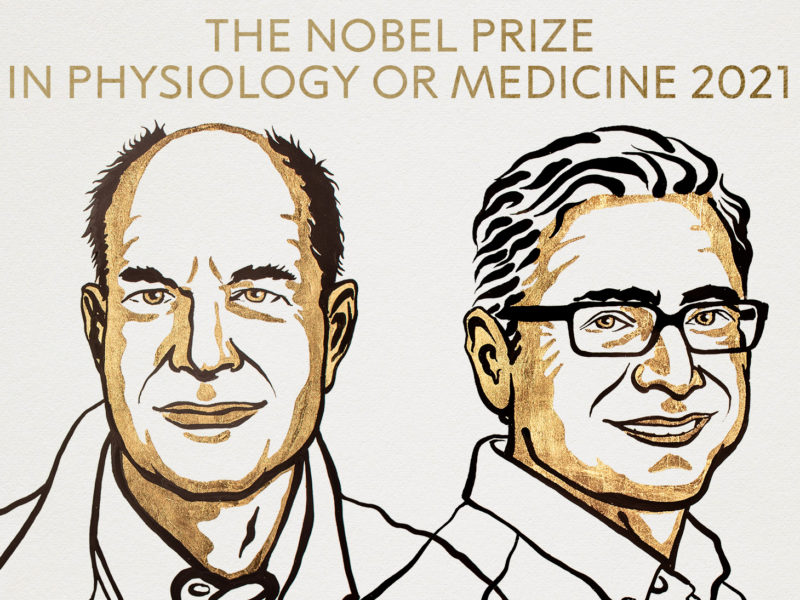 Стали известны имена лауреатов Нобелевской премии-2021 по медицине