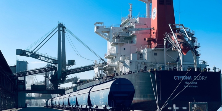 Николаевский порт «Ника-Тера» принял сухогруз рекордной длины (ФОТО)