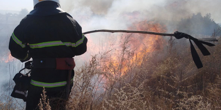 12 пожаров на открытых территориях и 2 – в лесах: что тушили на Николаевщине за сутки (ФОТО)
