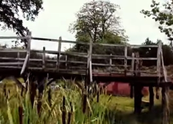 В Британии пустячный мост Винни-Пуха выставили на аукцион (ВИДЕО)