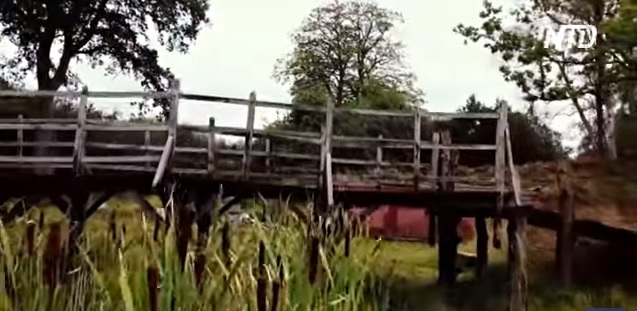 В Британии пустячный мост Винни-Пуха выставили на аукцион (ВИДЕО)