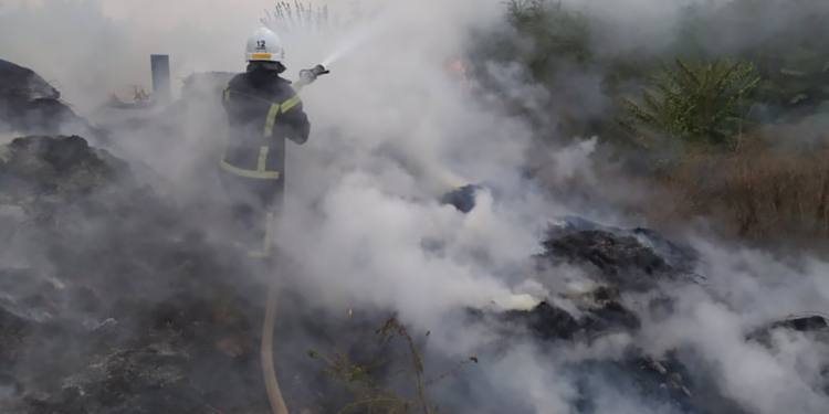 На Николаевщине за сутки выгорело более 16 га открытых территорий
