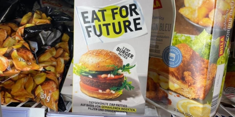 Ешь ради будущего. В Австрии уже продают котлеты из червей (ФОТО)