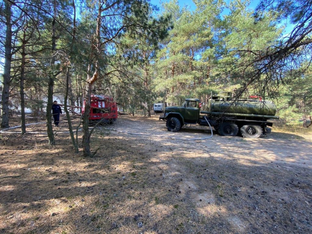 Под Николаевом тушат Балабановский лес (ФОТО) 4