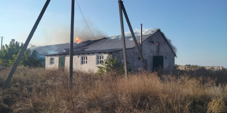 На Николаевщине сгорело 500 кв.м кровли животноводческой фермы – остальное спасли пожарные (ФОТО)