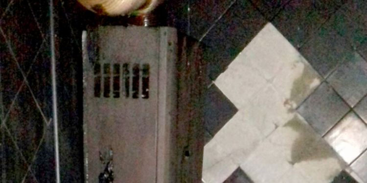 На Николаевщине за сутки сгорели более 2,5 га открытых территорий и летняя кухня в областном центре (ФОТО)