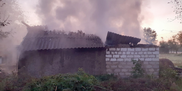 Обидно: утром в селе Березки сгорели 4 тонны сена нового урожая (ФОТО)