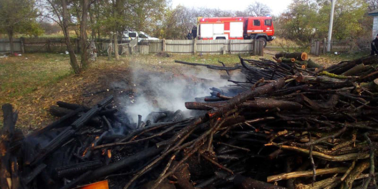 Сжигал мусор – загорелись дрова, а там и до дома было недалеко: что тушили пожарные Николаевщины за сутки (ФОТО)