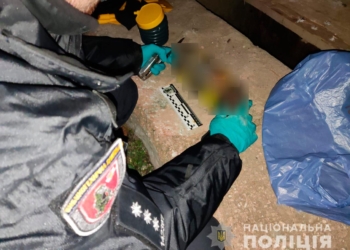 В Николаеве нашли взрывное устройство. Оказалось – муляж, но к эвакуации готовились по-настоящему (ФОТО)