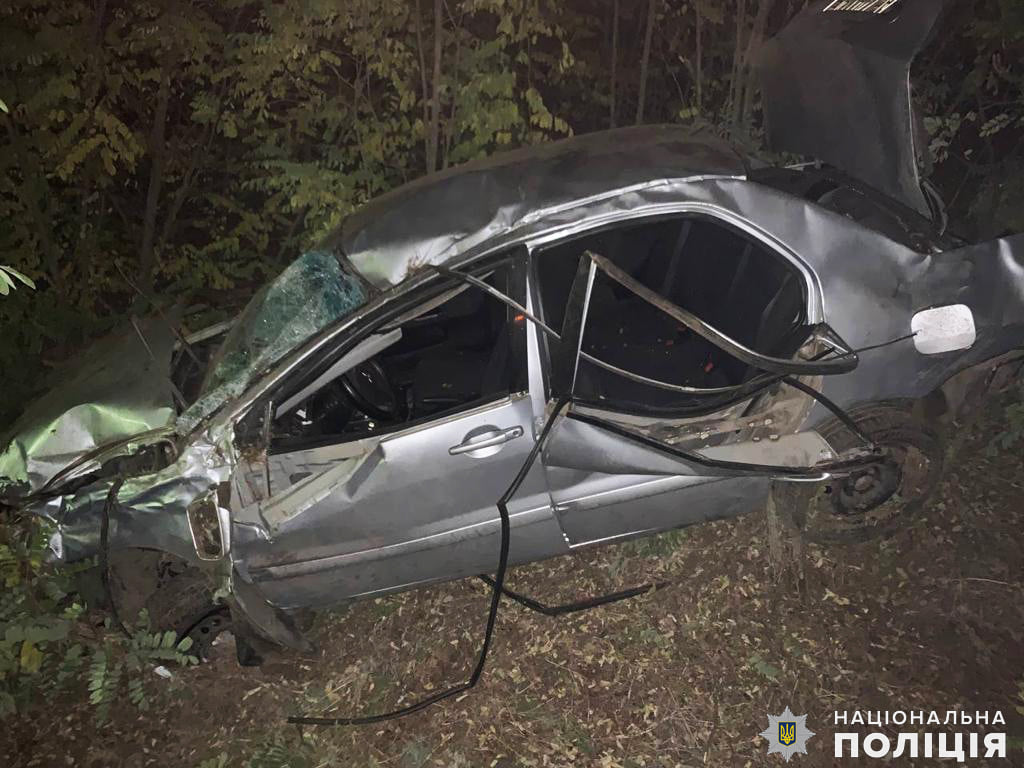 На Николаевщине Mitsubishi вылетел в кювет, водитель погиб 1