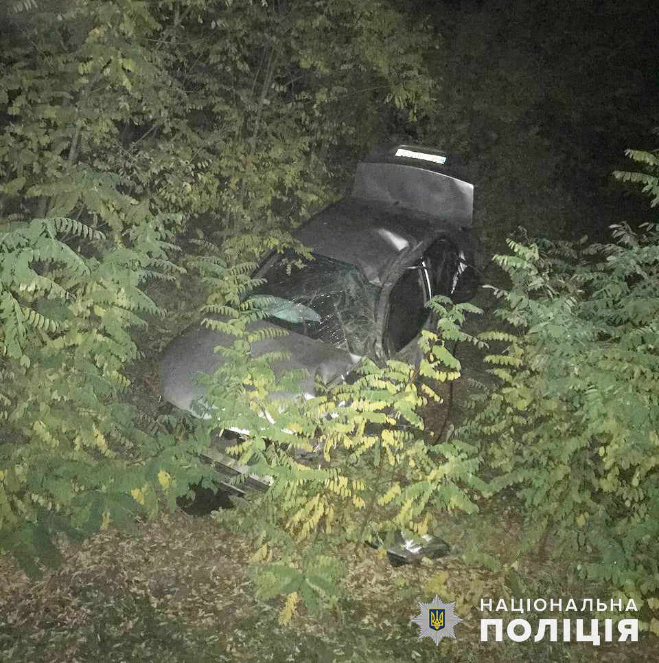 На Николаевщине Mitsubishi вылетел в кювет, водитель погиб 3