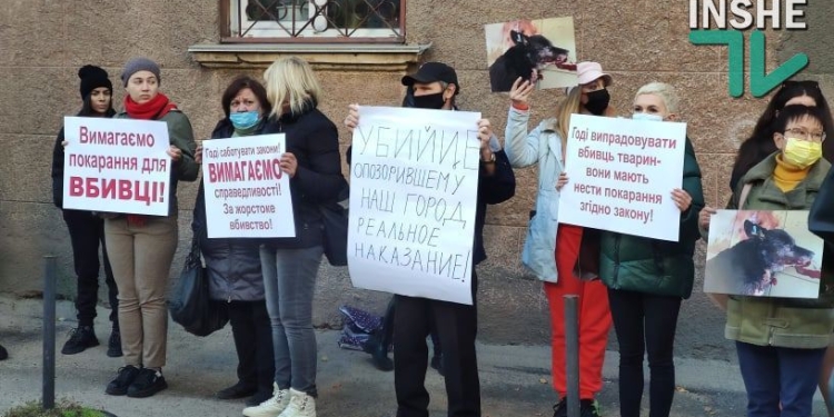 В Николаеве зоозащитники пикетировали Центральный суд: тут начинают слушать дело по убийству собаки на рынке «Юлиана» (ФОТО)