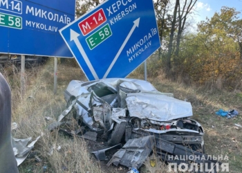 В ДТП с грузовиком у села Полигон пострадал водитель легковушки – николаевские полицейские просят свидетелей откликнуться (ФОТО)