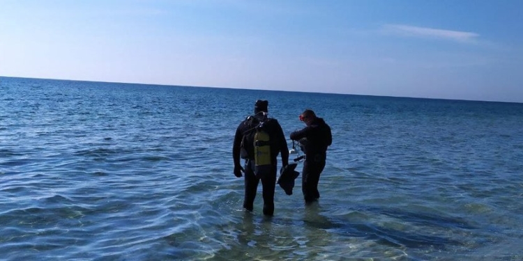 У побережья Кинбурна экологи создают искусственные рифы: мидии уже оценили