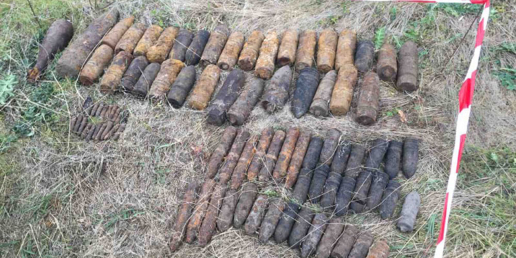 Спасатели Николаевщины обезвредили мину и 89 артснарядов (ФОТО)