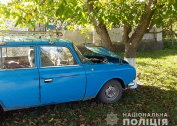 На Николаевщине “Москвич” врезался в дерево, водитель погиб