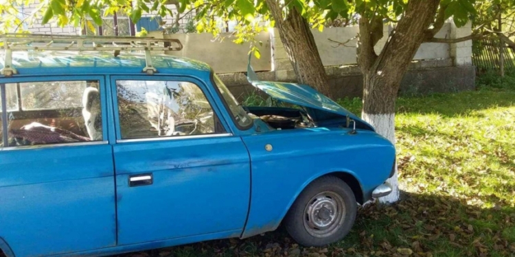 На Николаевщине “Москвич” врезался в дерево, водитель погиб