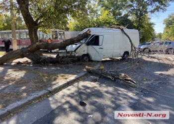 В центре Николаева водитель микроавтобуса устроил тройное ДТП и снес дерево