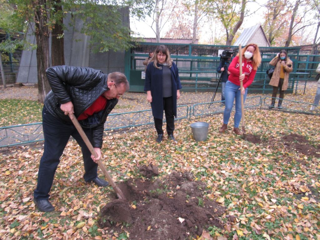 Николаевский зоопарк высадил 100 деревьев и 100 розовых кустов (ФОТО) 16