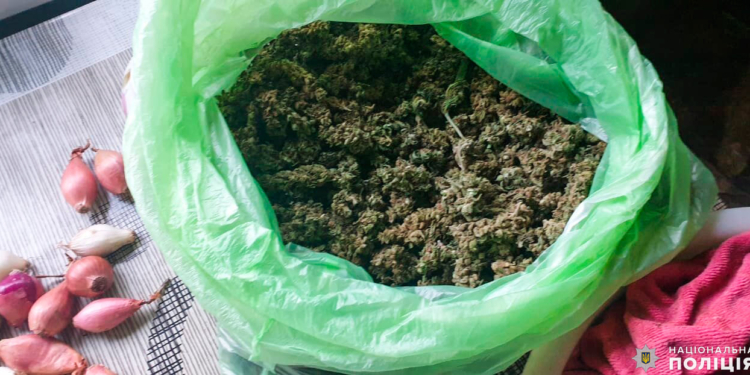 У двух жителей Вознесенска полицейские Николаевщины изъяли около 20 кг подготовленной к употреблению конопли (ФОТО, ВИДЕО)