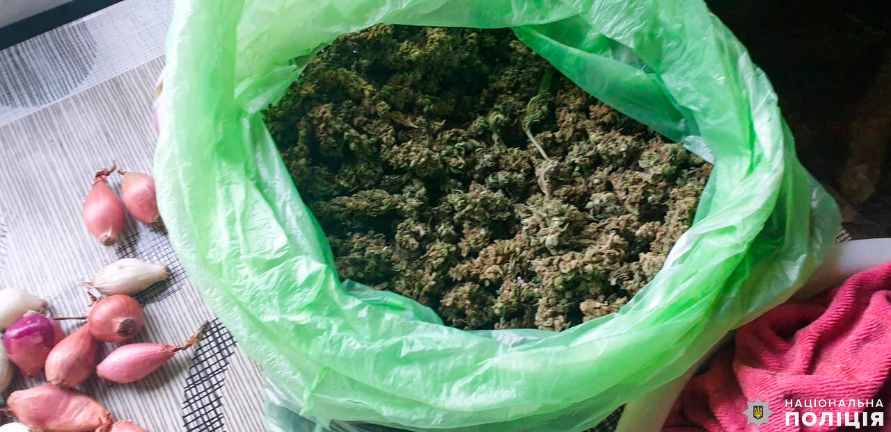 У двух жителей Вознесенска полицейские Николаевщины изъяли около 20 кг подготовленной к употреблению конопли (ФОТО, ВИДЕО)