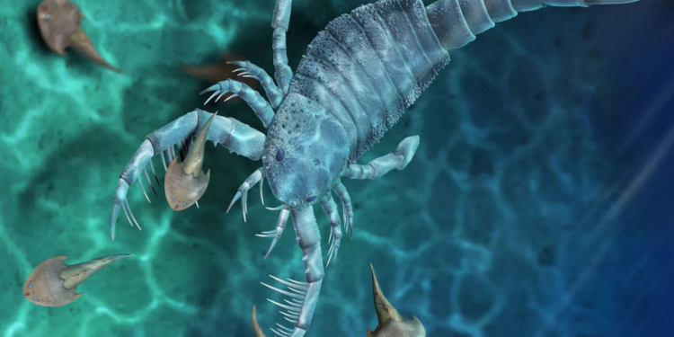 Царь скорпионов. Палеонтологи нашли в Китае останки гигантского чудовища, им 400 млн. лет