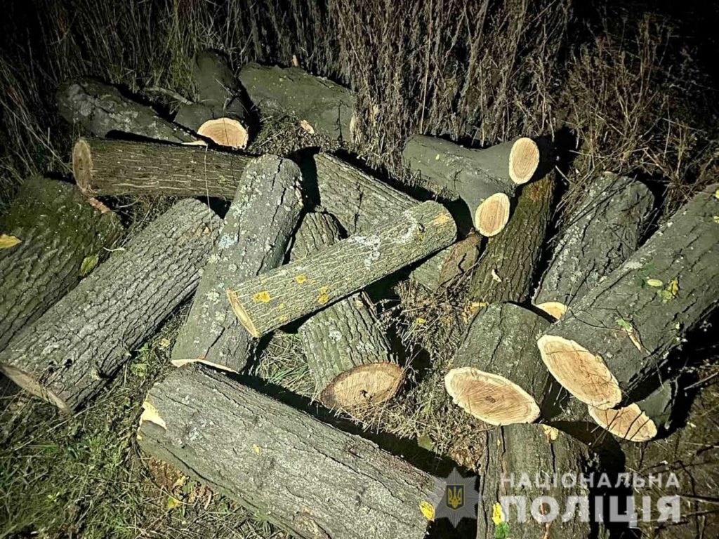 На Николаевщине задержали черных лесорубов - пилили дубы (ФОТО) 3