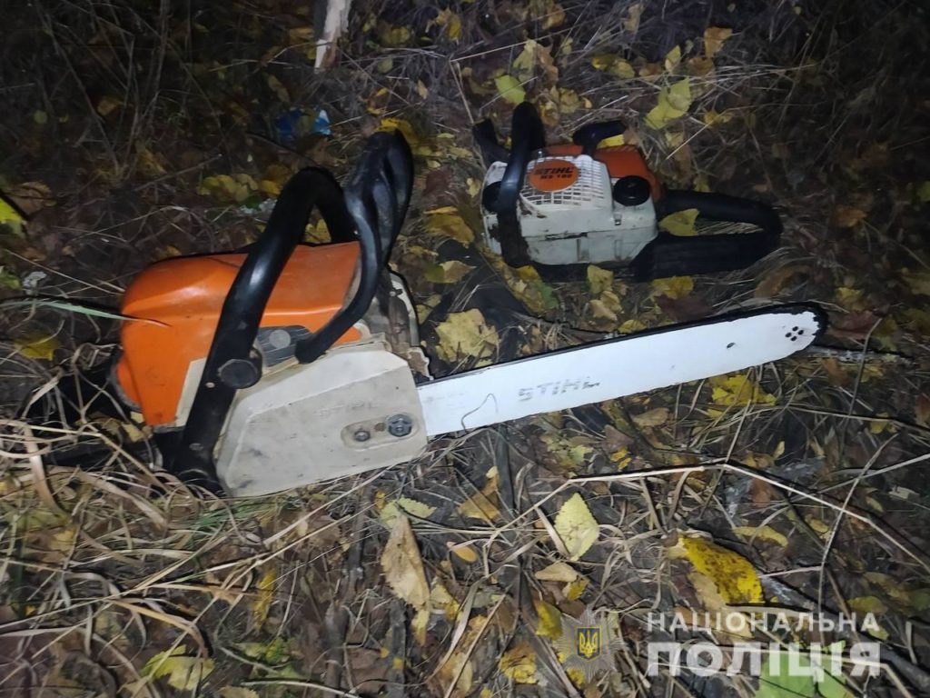 На Николаевщине задержали черных лесорубов - пилили дубы (ФОТО) 1